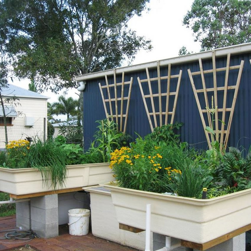 Wicking Beds And Aquaponics, How To Make A Raised Garden Bed Australia