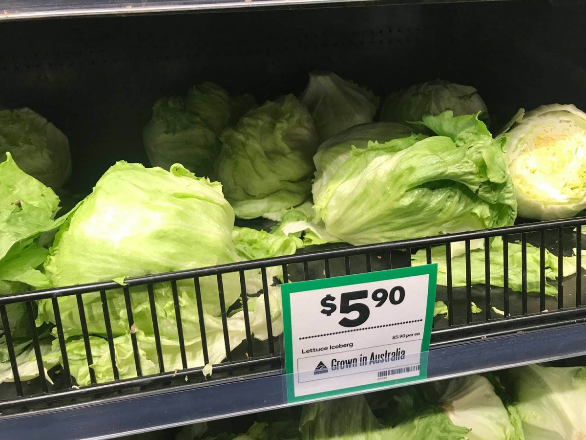 Look at the price of these lettuce! 