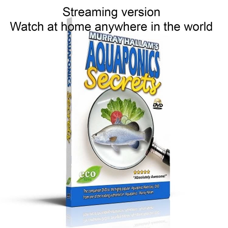 Murray Hallam Aquaponics Secrets DVD - Streaming version