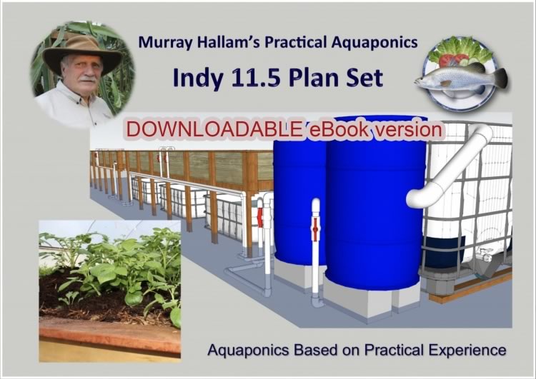 INDY 11.5 Plans and Instructions as a Downloadable eBook