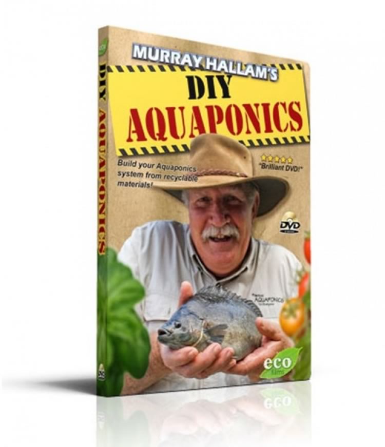DIY Aquaponics + Aquaponics: The First 12 Months DVD