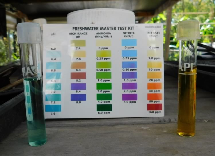 Test Kit - Freshwater Master Kit